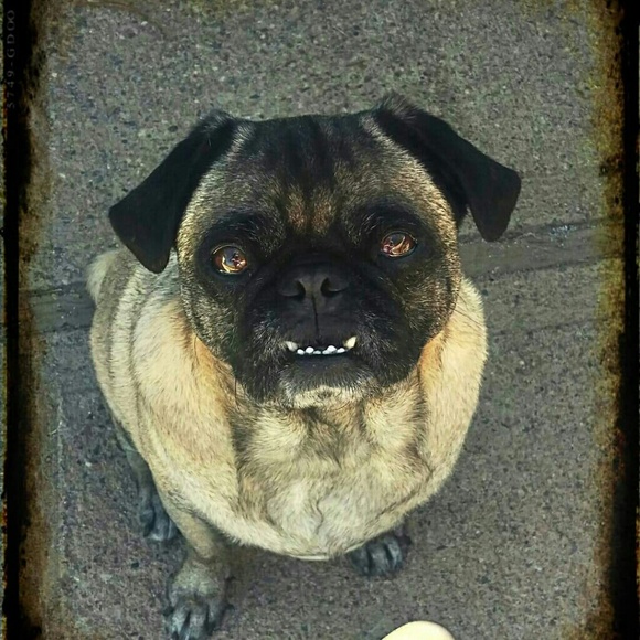 Meet Your Posher! ☀ - Picture 5 of 8